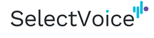 SelectVoice